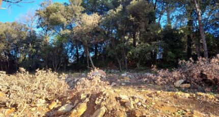 Tourves Terrain à bâtir - 2173797-11137annonce320250203xZ8fo.jpeg Maisons France Confort