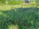 Terrain à bâtir à Gujan-Mestras (33470) 2164840-11272annonce120250521Hplgv.jpeg Maisons France Confort