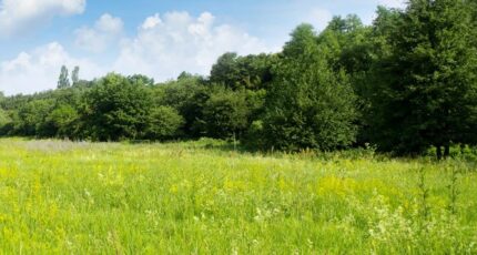 Parentis-en-Born Terrain à bâtir - 2166500-11269annonce120250522o2RTK.jpeg Maisons France Confort