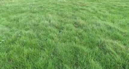 Arpajon Terrain à bâtir - 2173755-1635annonce120250528JV4MM.jpeg Maisons France Confort