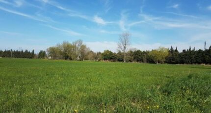 Guerville Terrain à bâtir - 2098223-11042annonce120250306m4I2I.jpeg Maisons France Confort