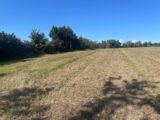Terrain à bâtir à Berson (33390) 2167410-11252annonce120250523PUUiS.jpeg Maisons France Confort