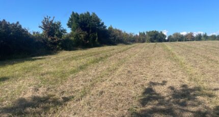 Berson Terrain à bâtir - 2167410-11252annonce120250523PUUiS.jpeg Maisons France Confort