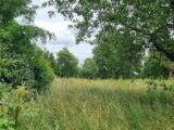 Terrain à bâtir à Frouzins (31270) 2172979-10326annonce120250527lJbsS.jpeg Maisons France Confort