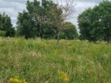 Terrain à bâtir à Frouzins (31270) 2172979-10326annonce3202505275sE4T.jpeg Maisons France Confort