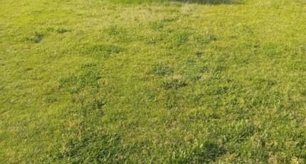 Biganos Maison neuve - 2174550-11244annonce320250529FbvB5.jpeg Maisons France Confort