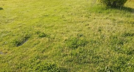 Biganos Maison neuve - 2174550-11244annonce120250529aDrAn.jpeg Maisons France Confort