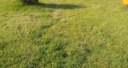 Biganos Maison neuve - 2174550-11244annonce220250529CpOWV.jpeg Maisons France Confort