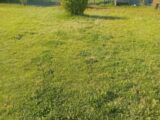 Terrain à bâtir à Biganos (33380) 2174549-11244annonce320250529FbvB5.jpeg Maisons France Confort