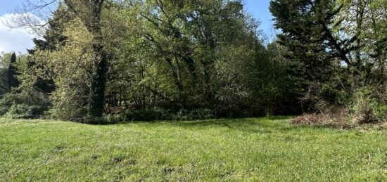 Terrain à bâtir à La Brède, Nouvelle-Aquitaine