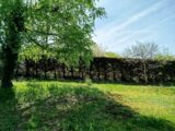 Terrain à bâtir à Périgueux (24000) 2173685-11256annonce120250528yWaSm.jpeg Maisons France Confort