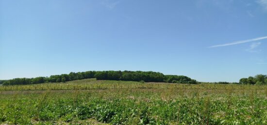 Terrain à bâtir à Flaugeac, Nouvelle-Aquitaine