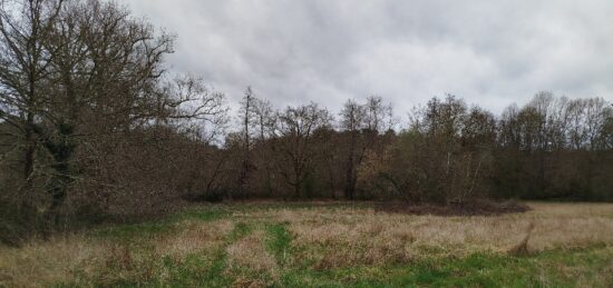 Terrain à bâtir à Bergerac, Nouvelle-Aquitaine