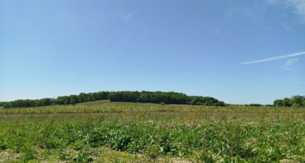 Flaugeac Maison neuve - 2174107-11256annonce120250528XrUO7.jpeg Maisons France Confort