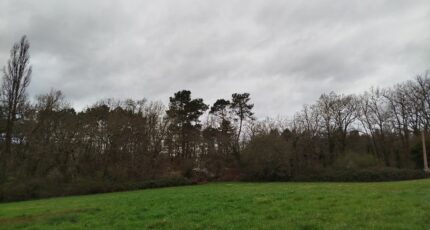 Bergerac Maison neuve - 2174130-11256annonce120250528S00TF.jpeg Maisons France Confort