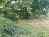 Terrain à bâtir à Saint-Quentin-de-Baron (33750) 2165710-11266annonce120250522XCvMC.jpeg Maisons France Confort