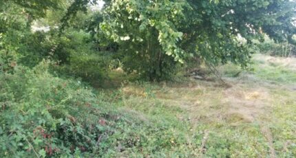 Saint-Quentin-de-Baron Terrain à bâtir - 2165710-11266annonce120250522XCvMC.jpeg Maisons France Confort