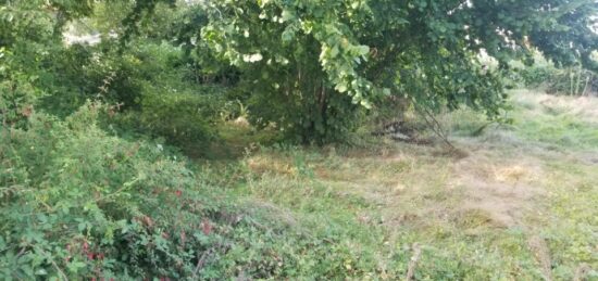 Terrain à bâtir à Saint-Quentin-de-Baron, Nouvelle-Aquitaine