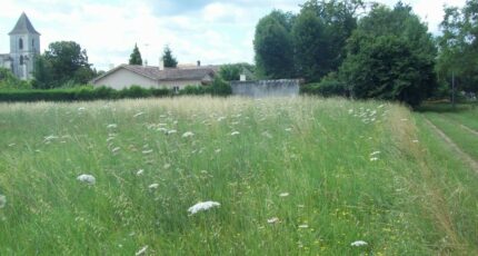 Cubzac-les-Ponts Terrain à bâtir - 2174170-11265annonce120250528y1p2U.jpeg Maisons France Confort