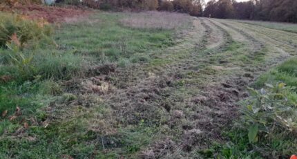 Bonnac-la-Côte Terrain à bâtir - 2141017-10865annonce220250425wTT8T.jpeg Maisons France Confort