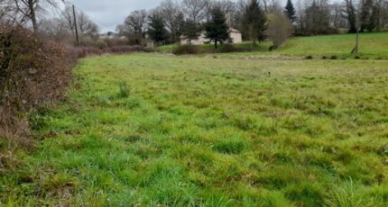 Saint-Vaury Maison neuve - 2140190-10865annonce1202504246x7D8.jpeg Maisons France Confort