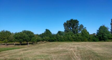 Chassors Terrain à bâtir - 2168197-11268annonce120250523Ql8tC.jpeg Maisons France Confort