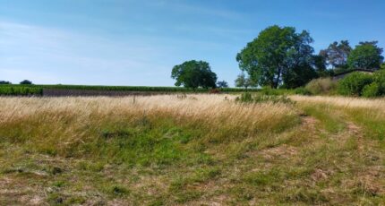Louzac-Saint-André Terrain à bâtir - 2168376-11268annonce120250523xBQAE.jpeg Maisons France Confort