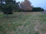 Terrain à bâtir à Angeac-Champagne (16130) 2170190-11268annonce120250526PFA8m.jpeg Maisons France Confort