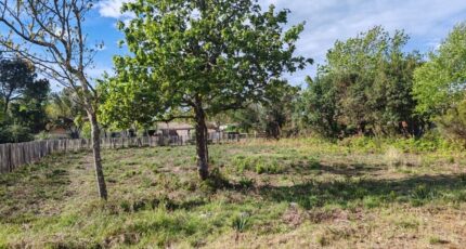 Hourtin Terrain à bâtir - 2165969-11274annonce120250522yXWrG.jpeg Maisons France Confort