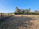 Terrain à bâtir à Bois (17240) 2168120-11315annonce120250523m14Ju.jpeg Maisons France Confort
