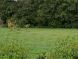 Terrain à bâtir à Lignan-de-Bazas (33430) 2165394-11284annonce120250522llH2o.jpeg Maisons France Confort
