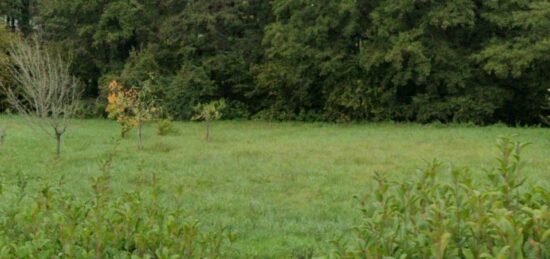 Terrain à bâtir à Lignan-de-Bazas, Nouvelle-Aquitaine