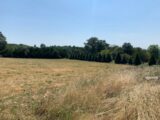 Terrain à bâtir à Saint-Germain-les-Vergnes (19330) 2173419-11288annonce1202505281aGv1.jpeg Maisons France Confort