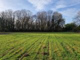Terrain à bâtir à Gémozac (17260) 2172413-11315annonce120250527xylxA.jpeg Maisons France Confort