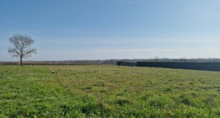Saint-Fort-sur-Gironde Terrain à bâtir - 2174946-11315annonce1202505304TF93.jpeg Maisons France Confort
