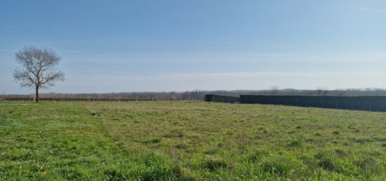 Terrain à bâtir à Saint-Fort-sur-Gironde, Nouvelle-Aquitaine