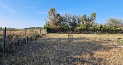 Bois Maison neuve - 2168121-11315annonce120250523m14Ju.jpeg Maisons France Confort