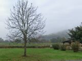 Maison à construire à Saint-Sylvestre-sur-Lot (47140) 2173643-annonceTerrain-20250524100447.JPEG Maisons France Confort
