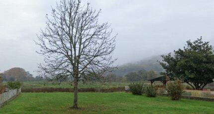 Saint-Sylvestre-sur-Lot Maison neuve - 2173643-annonceTerrain-20250524100447.JPEG Maisons France Confort