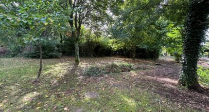 Andernos-les-Bains Maison neuve - 2174575-11276annonce1202505290Xnc4.jpeg Maisons France Confort