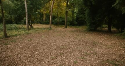 Arcachon Maison neuve - 2174499-11279annonce320250529NsVkE.jpeg Maisons France Confort