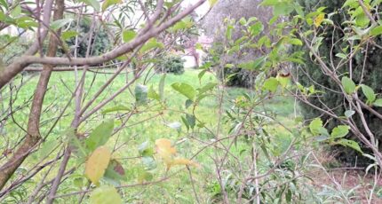 Alleins Maison neuve - 2174460-11041annonce1202505283HHdS.jpeg Maisons France Confort