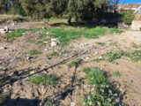 Terrain à bâtir à Meyreuil (13590) 2174466-11041annonce220250528Kd0b0.jpeg Maisons France Confort