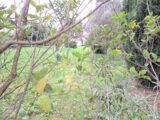 Maison à construire à Alleins (13980) 2174461-11041annonce1202505283HHdS.jpeg Maisons France Confort