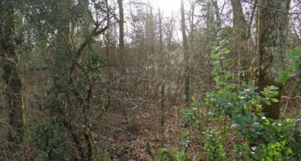 La Brède Terrain à bâtir - 2175876-3601annonce120250531qlgCa.jpeg Maisons France Confort