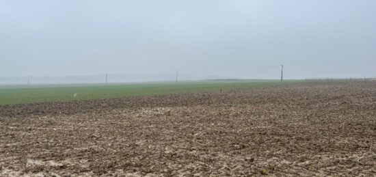 Terrain à bâtir à Haute-Avesnes, Hauts-de-France