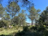 Terrain à bâtir à Grabels (34790) 2091144-3243annonce320250611PJP4m.jpeg Maisons France Confort