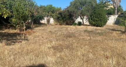 Solliès-Pont Terrain à bâtir - 2091821-9599annonce1202502277epU8.jpeg Maisons France Confort