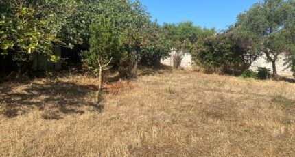 Solliès-Pont Maison neuve - 2091825-9599annonce220250306ox7Rx.jpeg Maisons France Confort