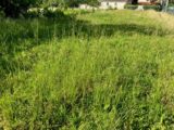 Terrain à bâtir à Châteaubernard (16100) 2092290-10974annonce120250527HxovT.jpeg Maisons France Confort